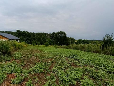 ділянка за адресою Гагаріна вул., 171