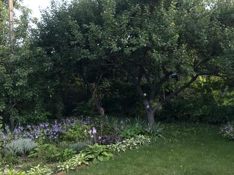 будинок за адресою Олега Онікієнка вул.