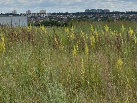 участок по адресу Степова