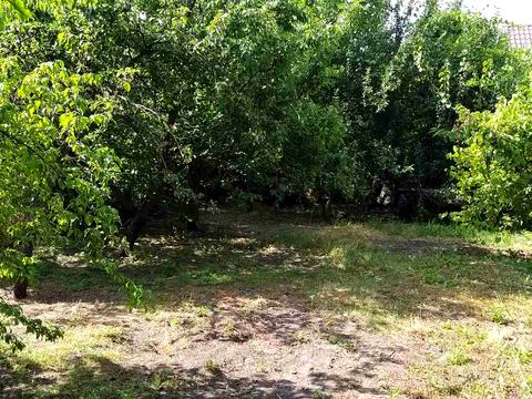 ділянка за адресою Осокорки Садовая 96