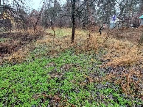 ділянка за адресою Вишгородська