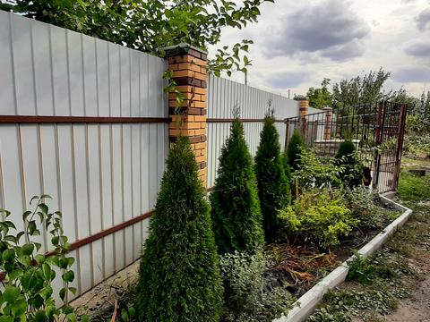 будинок за адресою Аличова