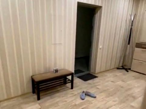 квартира по адресу Юлии Здановской ул. (Ломоносова), 46/1