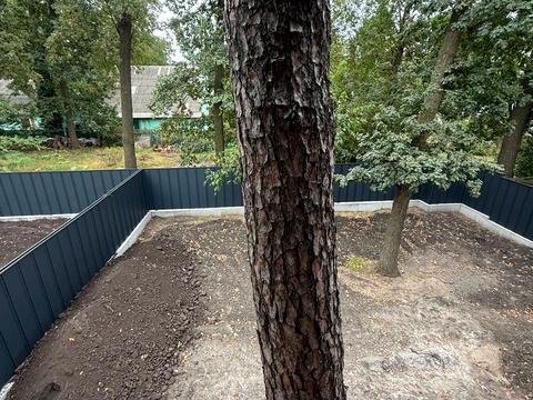 будинок за адресою Університетська