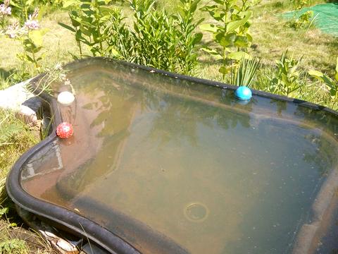 дом по адресу Рибальська