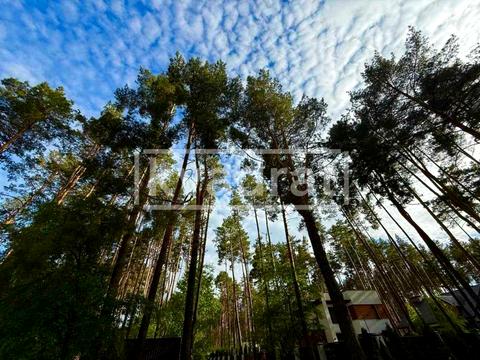 будинок за адресою Шкільна вул.