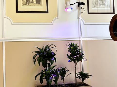 квартира за адресою Французький бульв., 35