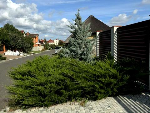 дом по адресу с. Лиманка, Овідіопільська, 12