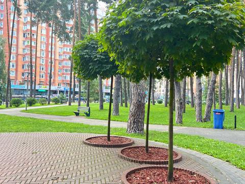 квартира по адресу Лесная ул., 4ж