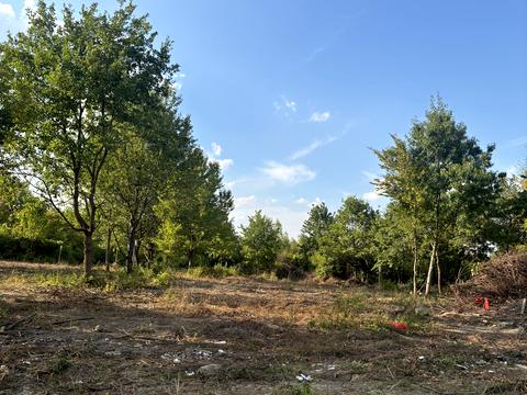 ділянка за адресою Ужгород, Собранецька вул.