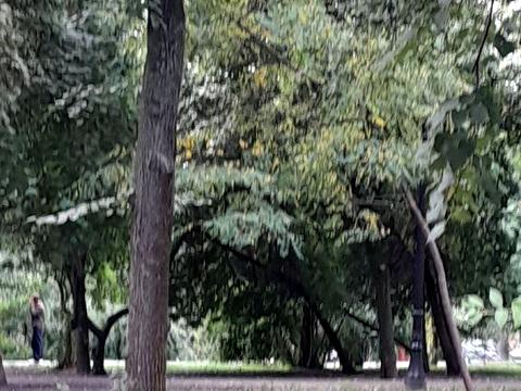 квартира по адресу Олеся Гончара ул., 41-А