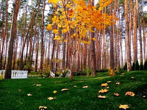 будинок за адресою Зоряна, 1