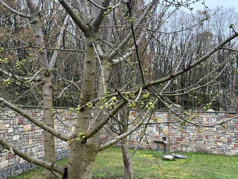 дом по адресу  ул.