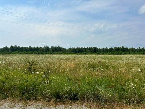 дом по адресу лінія