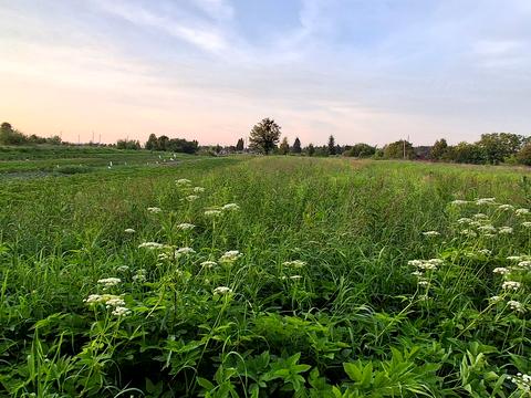 участок по адресу Игнатия Лукасевича ул.