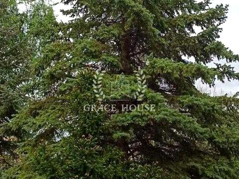 будинок за адресою смт. Козин, Старокиївська вул.