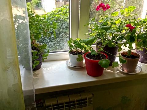 квартира по адресу Пищевая ул., 72