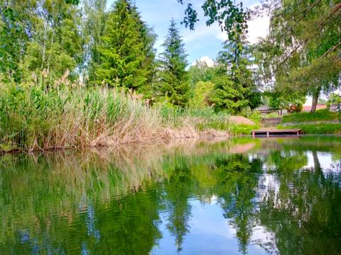 ділянка за адресою Центральна вул.