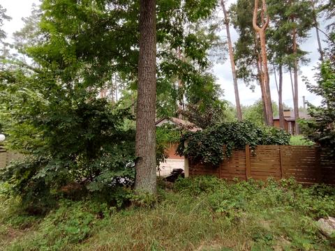 ділянка за адресою кичєївська