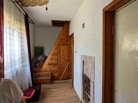 ділянка за адресою лісова казка