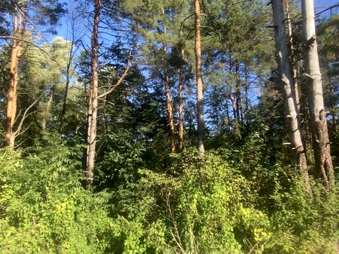 ділянка за адресою Лісова вул.