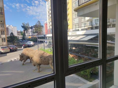 квартира за адресою Тараса Шевченка вул., 17