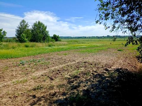 дом по адресу Новая ул., 86