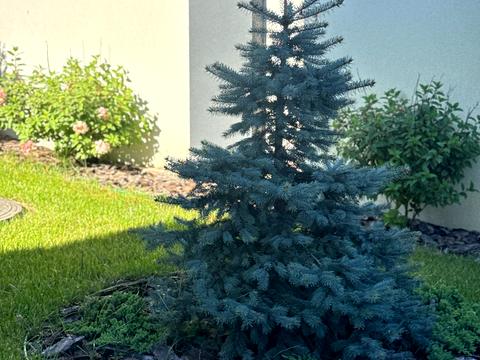 будинок за адресою Ворзельська