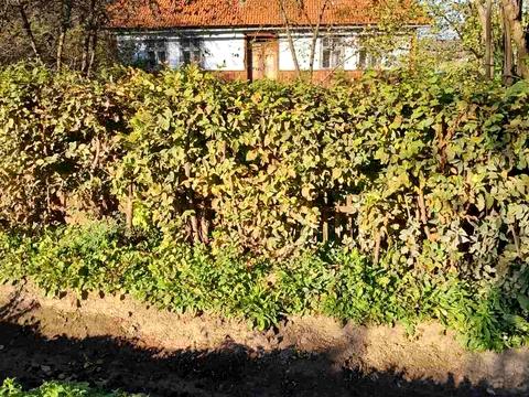 дом по адресу Горяни