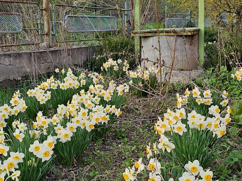 будинок за адресою СТ Ягідка, 39А