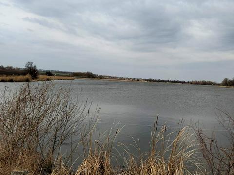 участок по адресу Лісова