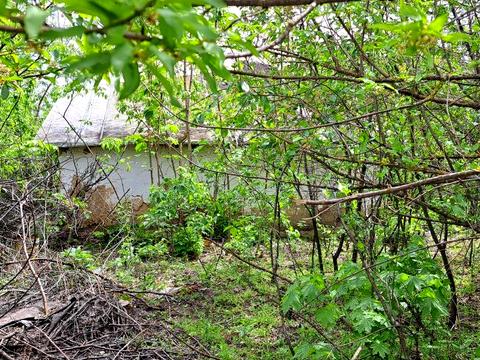 участок по адресу Вишнева, 56