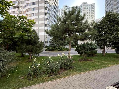 квартира по адресу Берёзовая ул., 2 к1