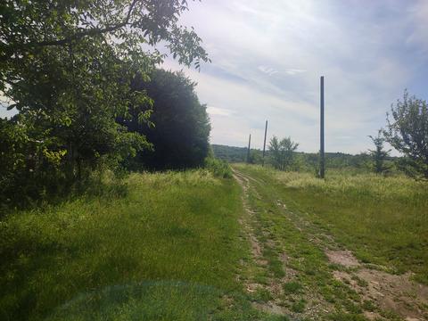 ділянка за адресою с. Пашківці, 