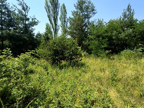 участок по адресу с. Рудковцы, 