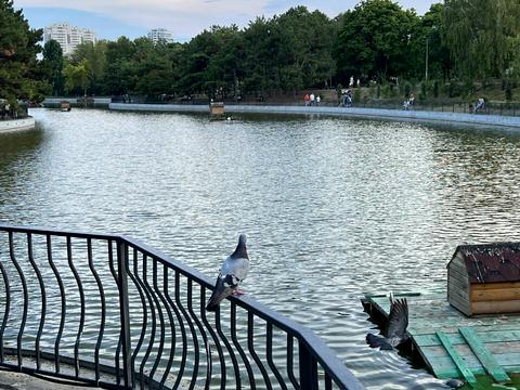 квартира за адресою Шевченка просп., 12/1