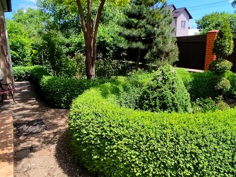 будинок за адресою Олександрівська