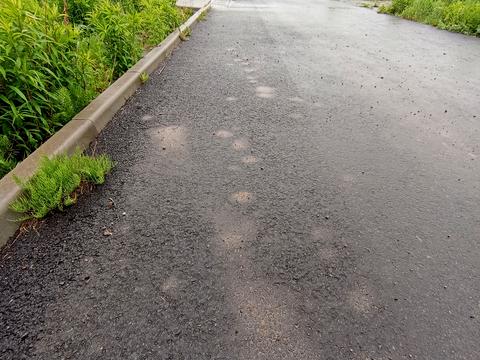 будинок за адресою с. Обарів, Соборна