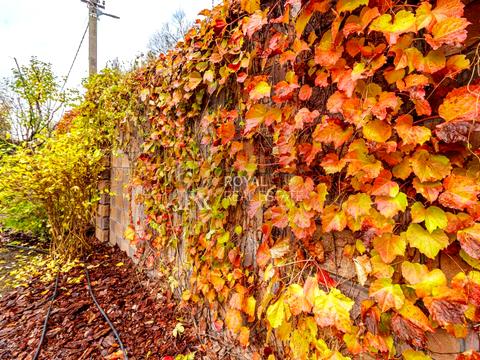 будинок за адресою 1-ша Продольна