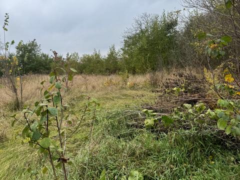 ділянка за адресою Зарічна вул.