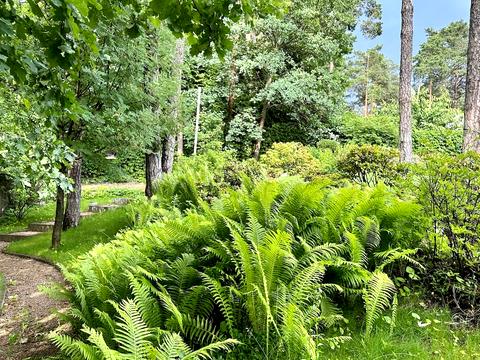 будинок за адресою смт. Козин, Олексіївська вул.