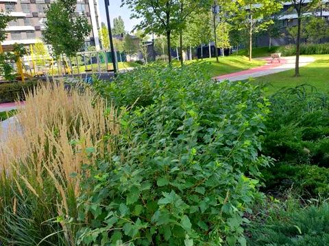 квартира по адресу Днепровская набережная ул., 15-Ж