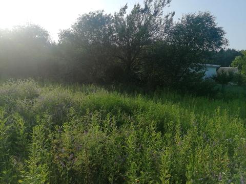 ділянка за адресою центральна