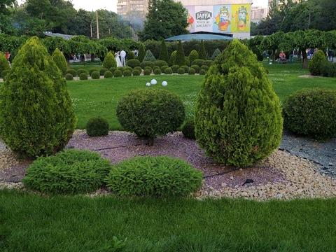 квартира за адресою Космонавтів вул., 13