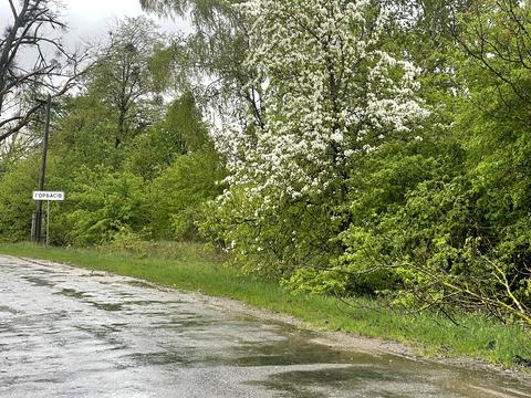 ділянка за адресою 