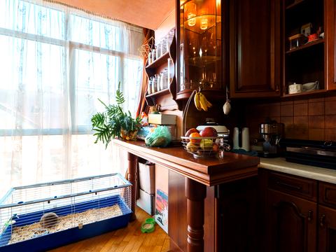 квартира по адресу Коперника ул., 10