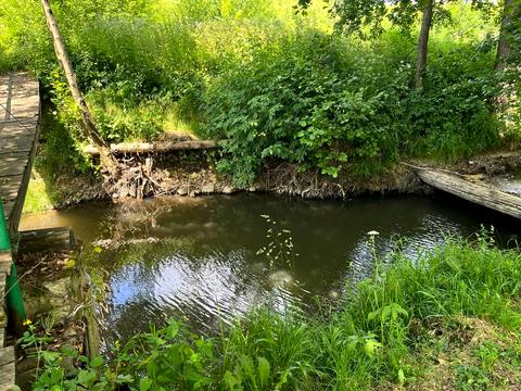 будинок за адресою Центральна, 20