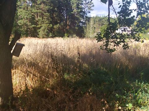 дом по адресу Вербна, 17