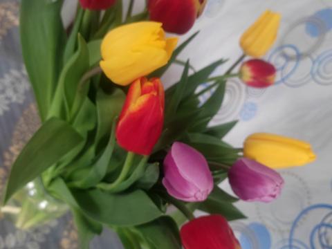 участок по адресу Ганнівська ул.