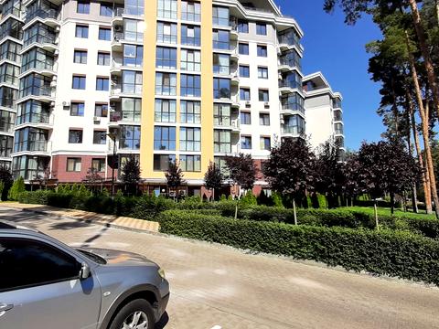 комерційна за адресою Прорізна вул., 15